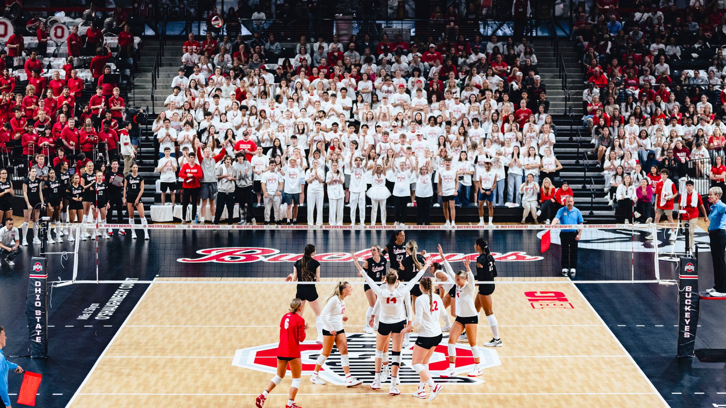 Ohio State Buckeyes Women's Volleyball