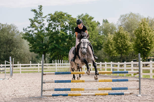 Opening Night International Show Jumping