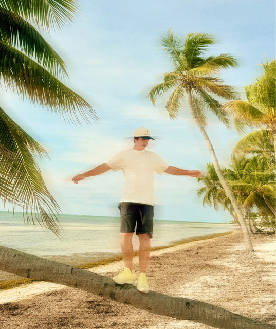 Palm Tree Music Festival