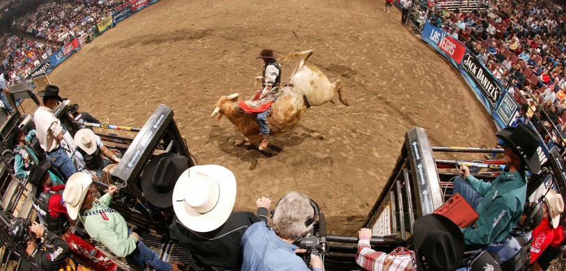 PBR Challenger Series