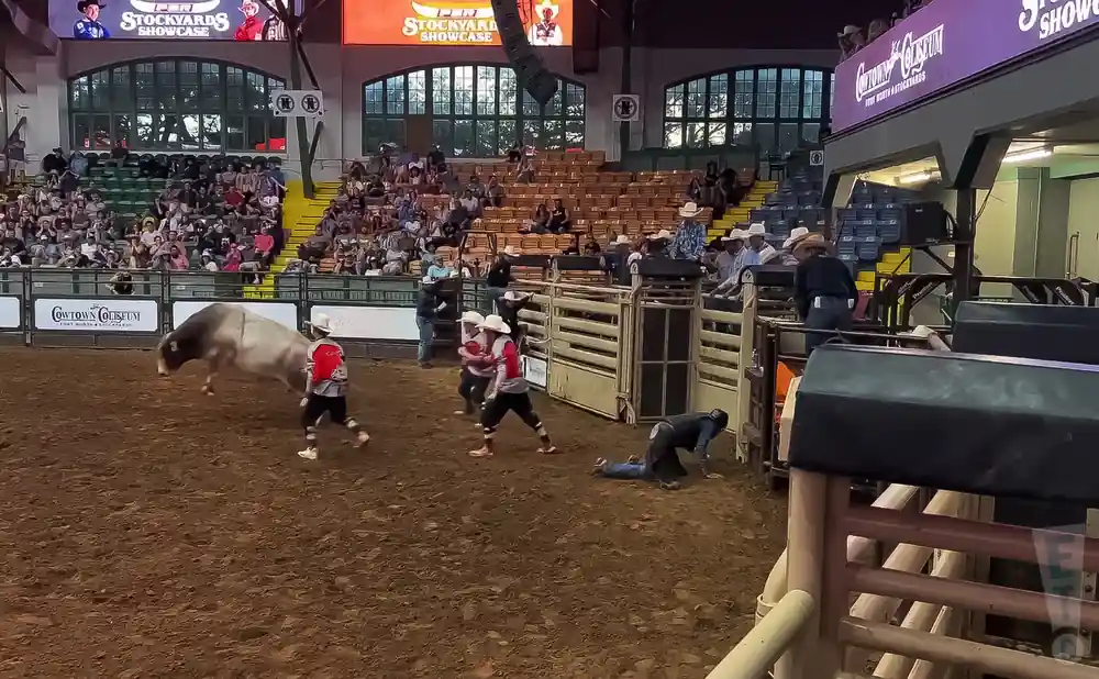 PBR Stockyards Showcase