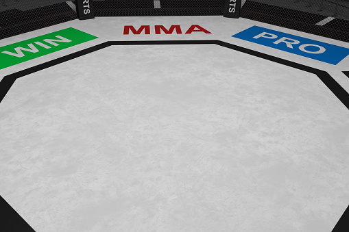 Peak Fighting MMA