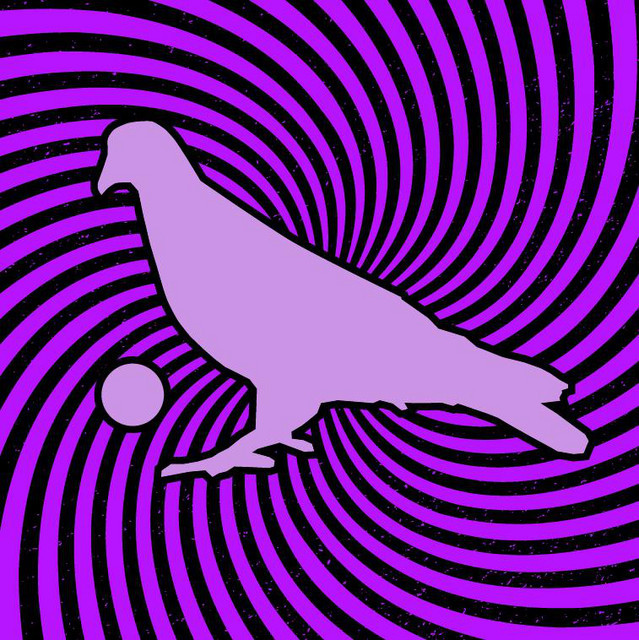 Pigeons Playing Ping Pong tickets in Honolulu