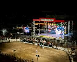 PRCA Xtreme Bulls