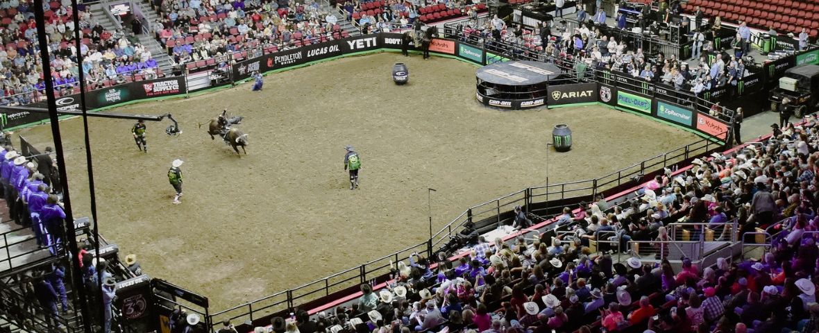 Pro Bull Riding