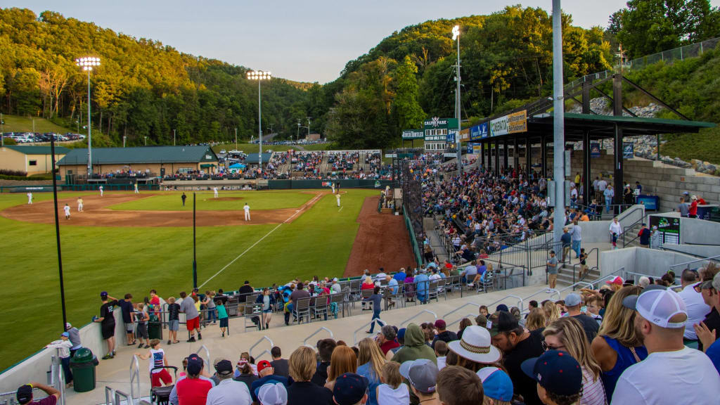 Pulaski River Turtles tickets in Greeneville