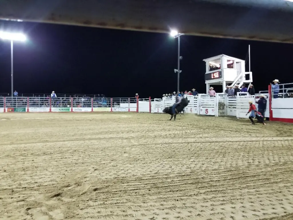 Purple Hill RAM Rodeo