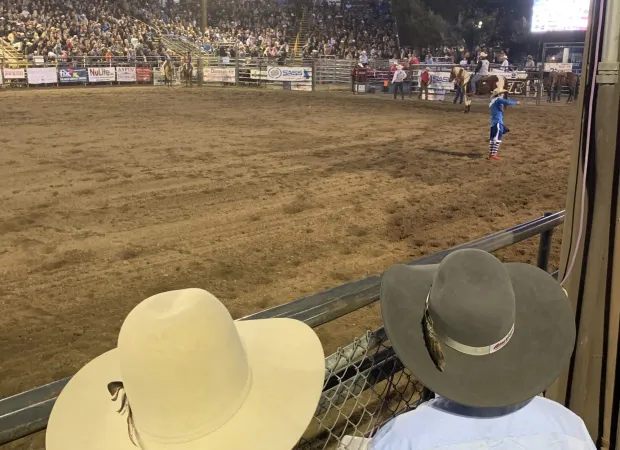 Ramona Rodeo