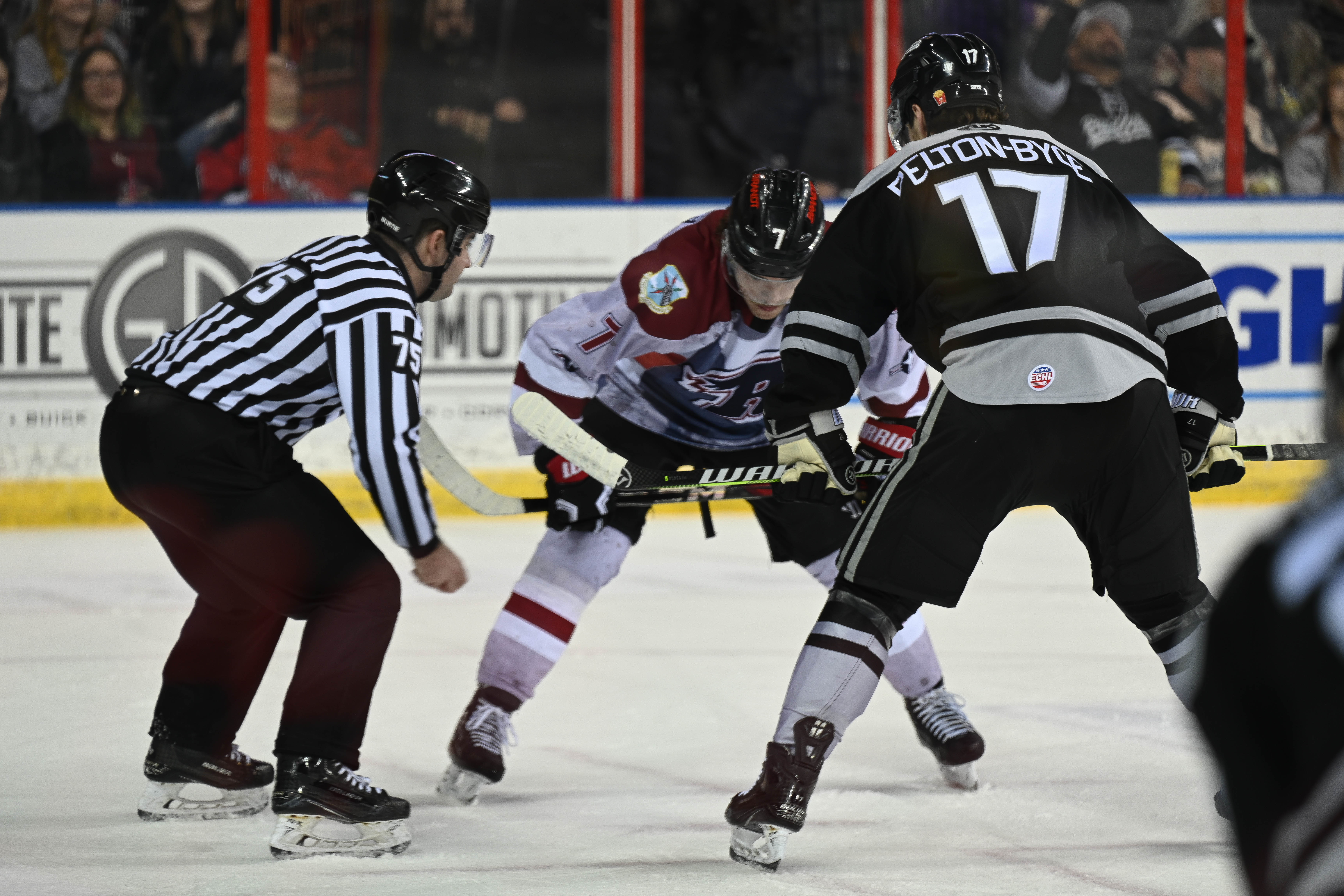Rapid City Rush