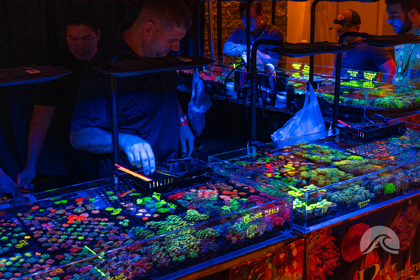 Reefapalooza tickets in Secaucus