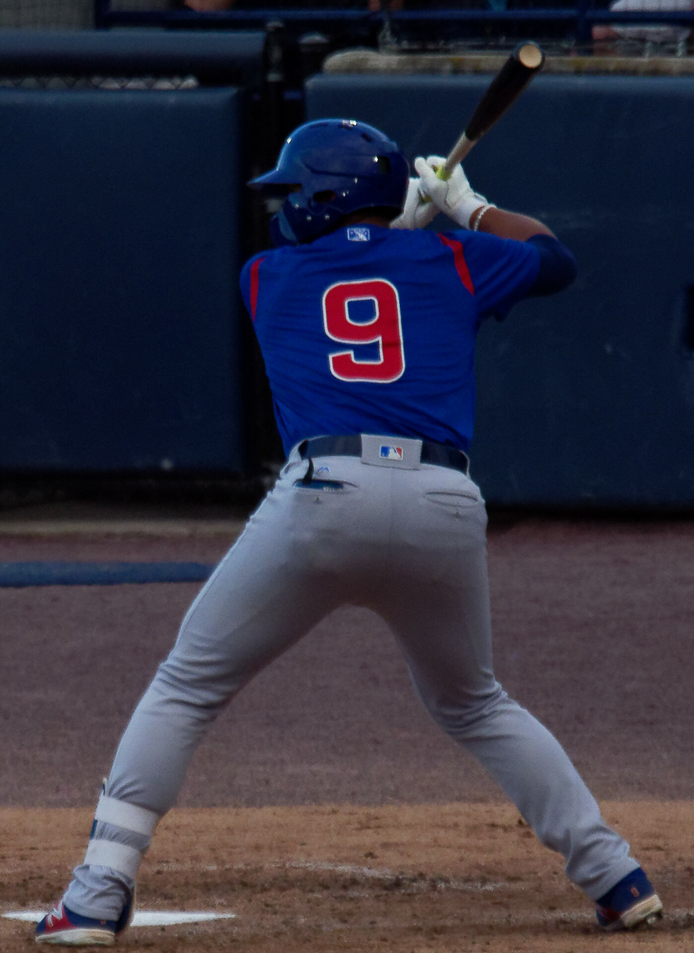 South Bend Cubs