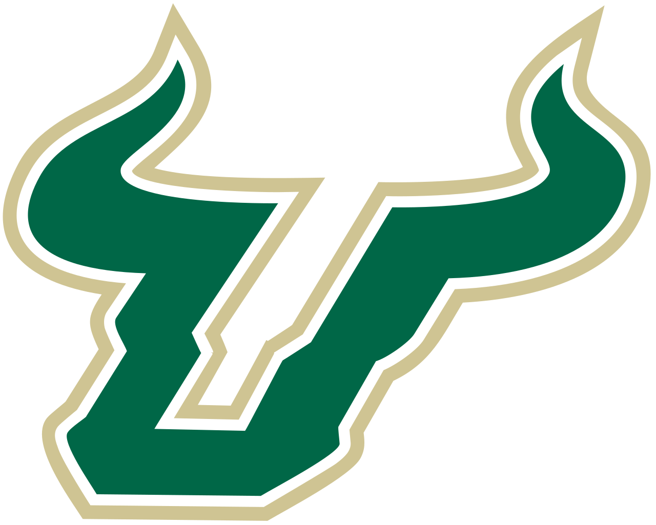 South Florida Bulls Football