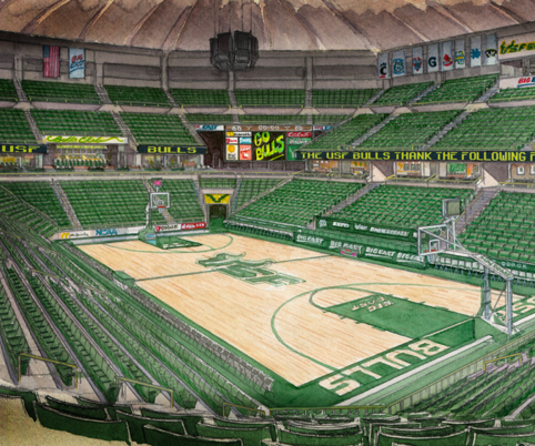 Florida Gators Women's Basketball vs. South Florida Bulls