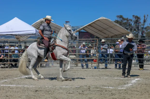 Spirit of Mexico Rodeo tickets in Fort Worth