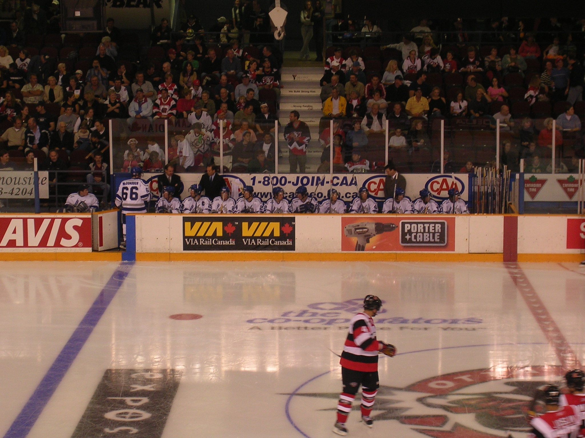 Erie Otters vs. Sudbury Wolves