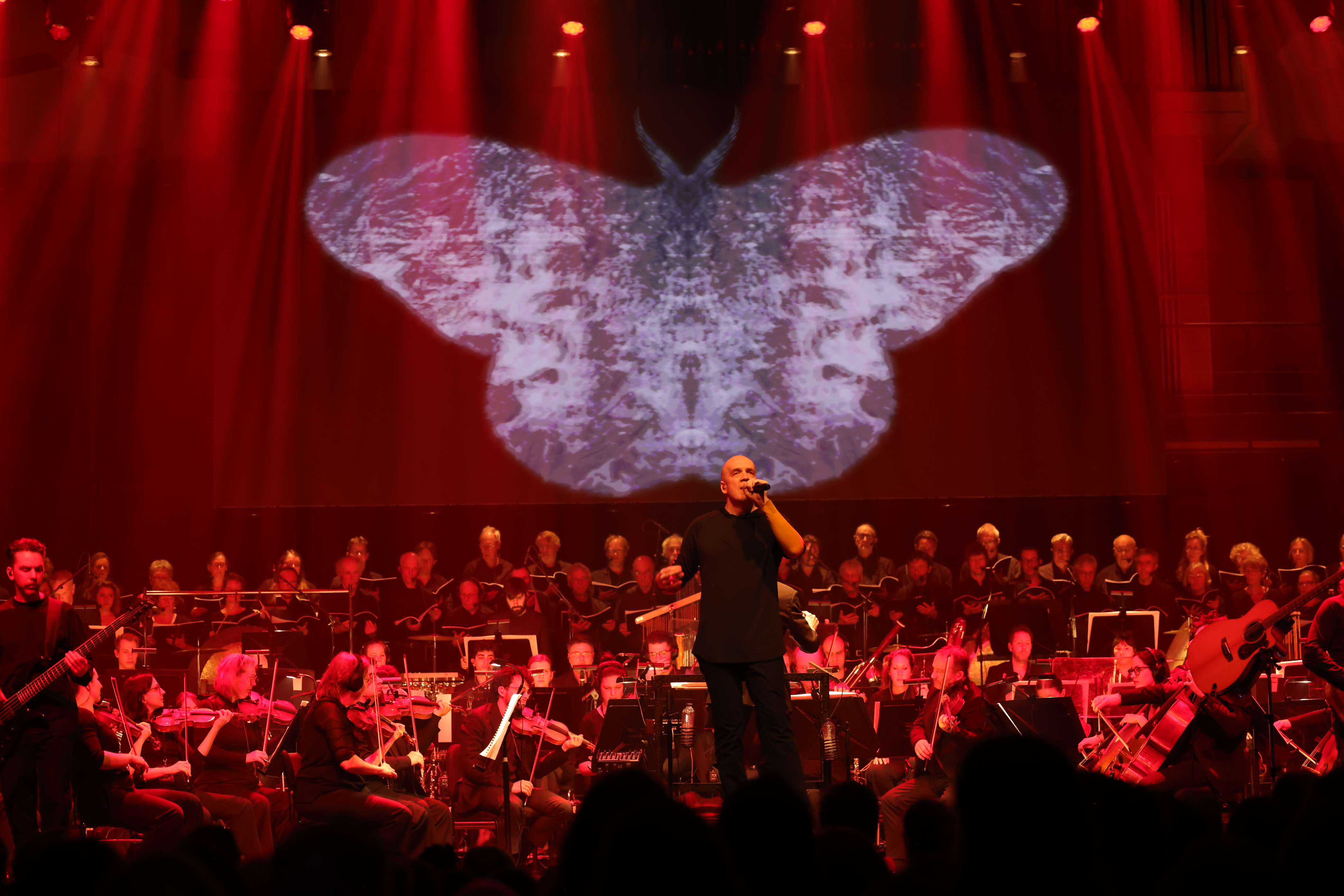 The Moth