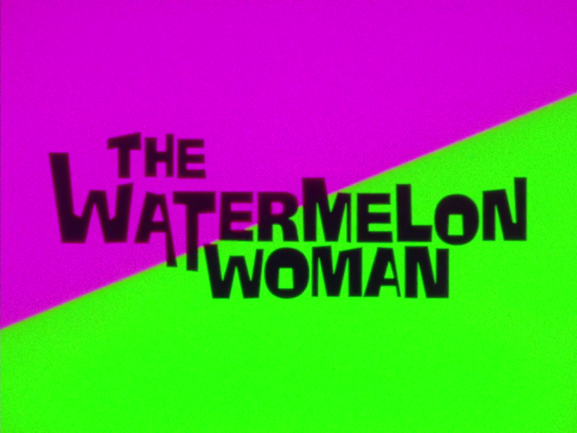 The Watermelon Woman - Film