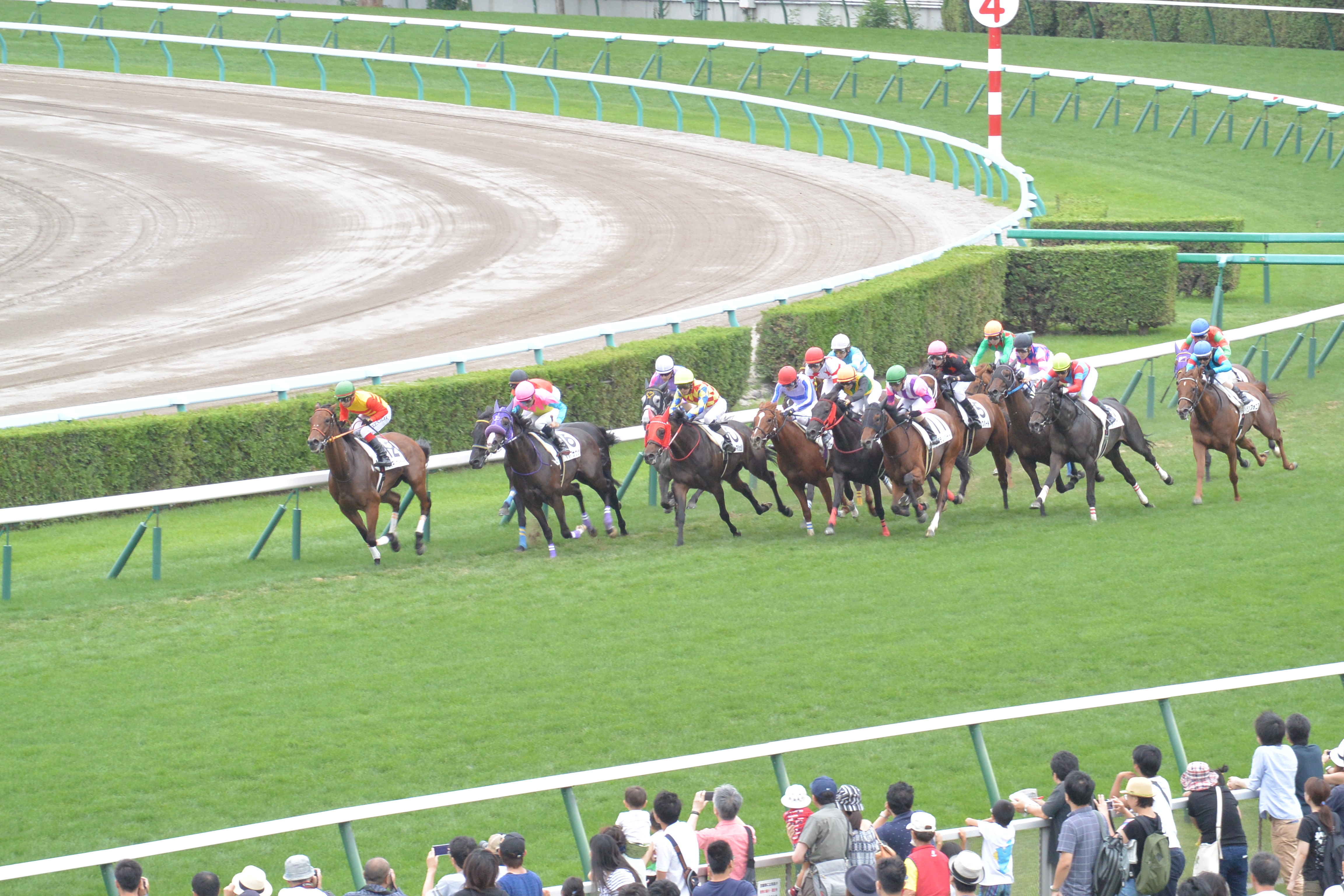Thoroughbred Racing tickets in Houston, TX
