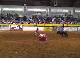 Ultimate Bullfighters