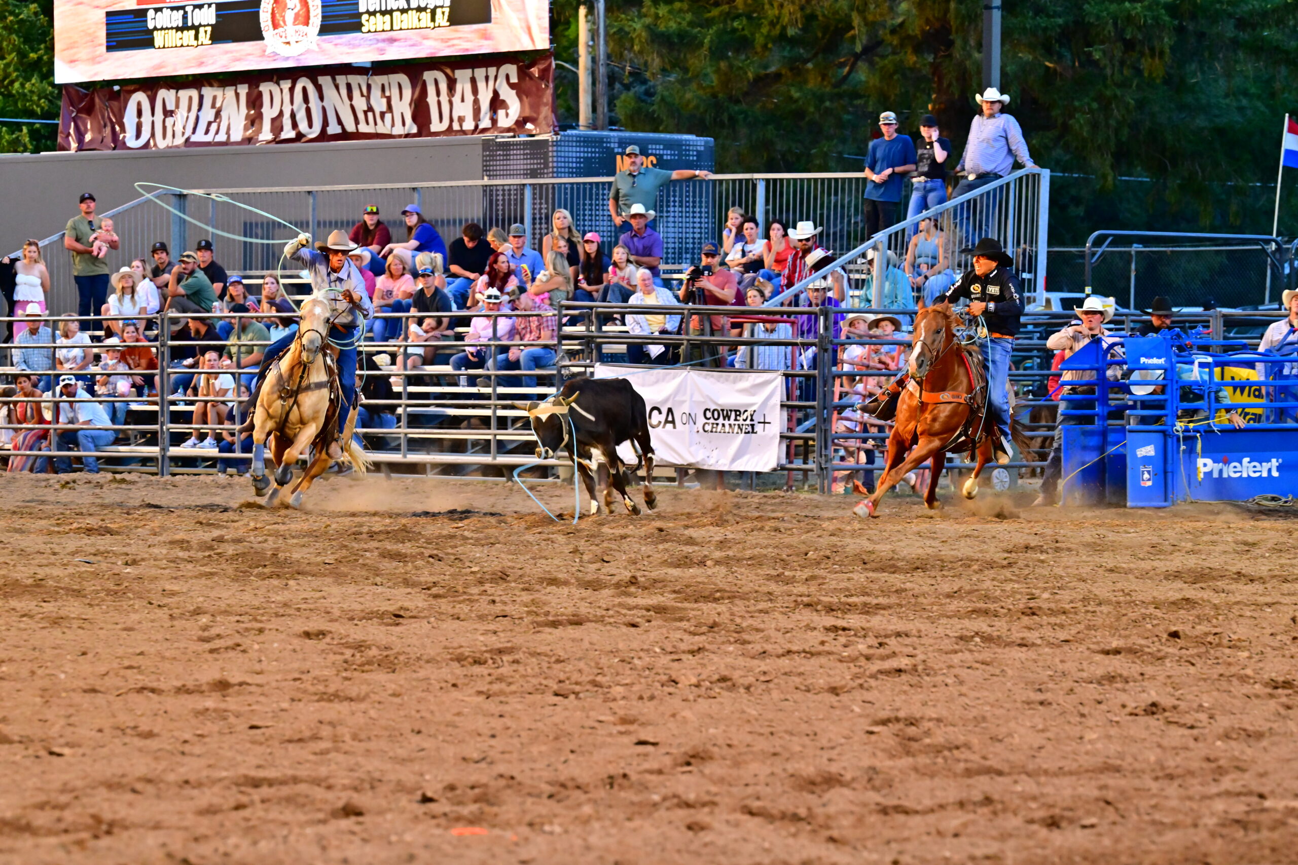 Vernal's Dinosaur Roundup Rodeo