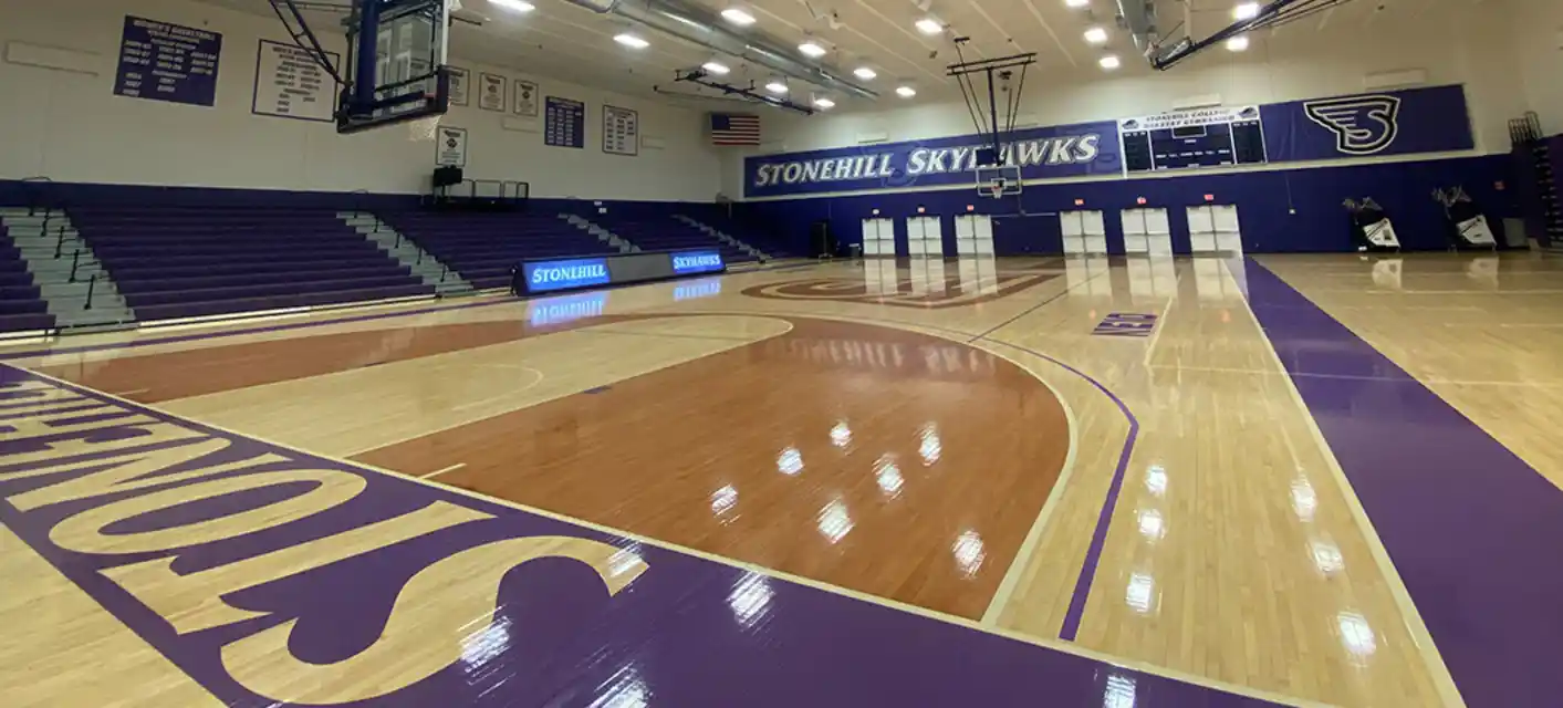 Stonehill Skyhawks Women's Basketball vs. Wagner Seahawks