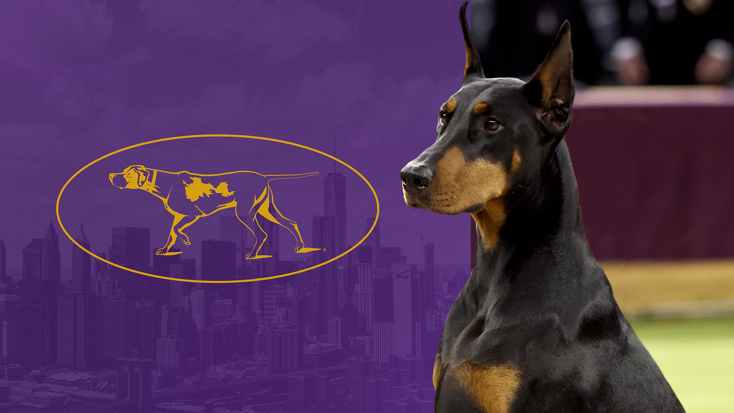 Westminster Kennel Club Dog Show