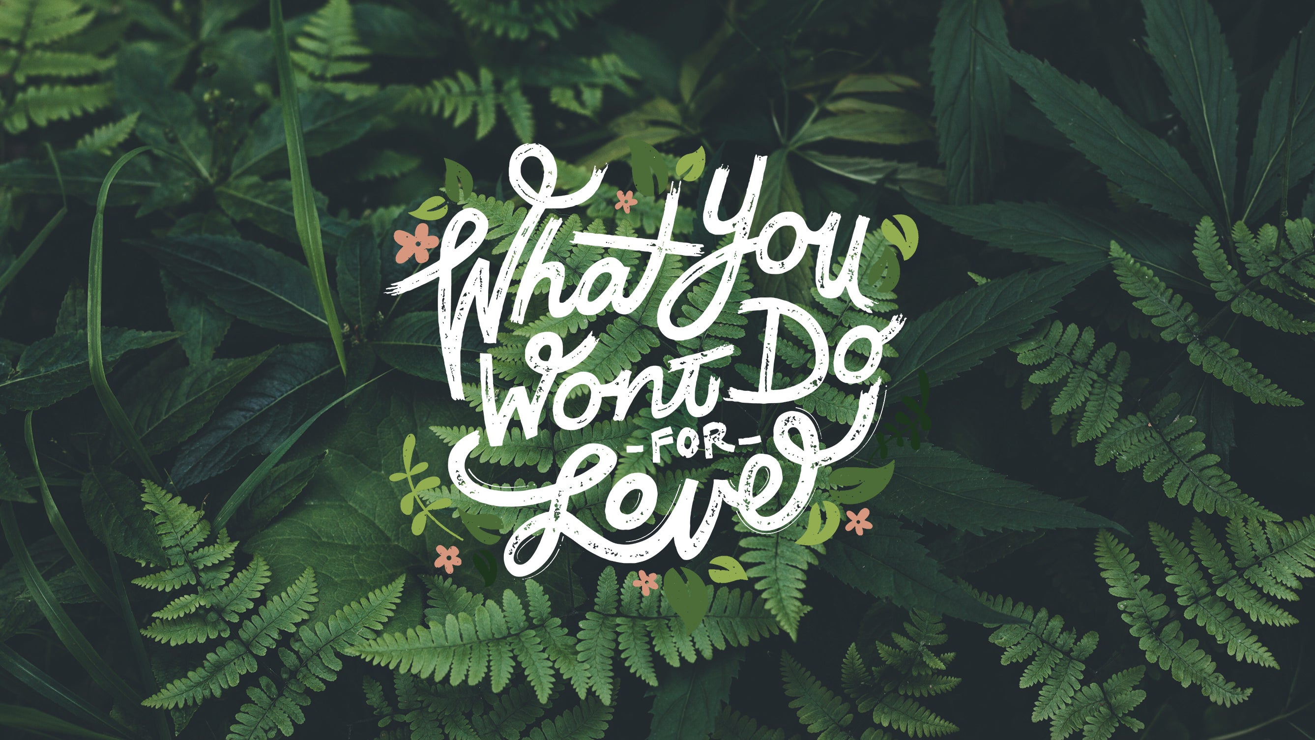 What You Won't Do for Love