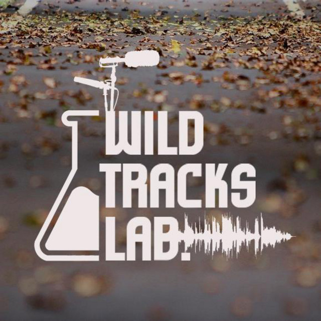 Wild Trails Festival tickets in Lewisburg