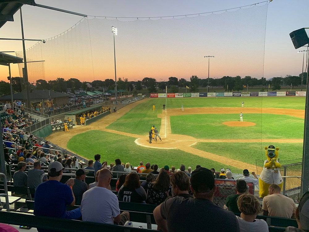 Willmar Stingers