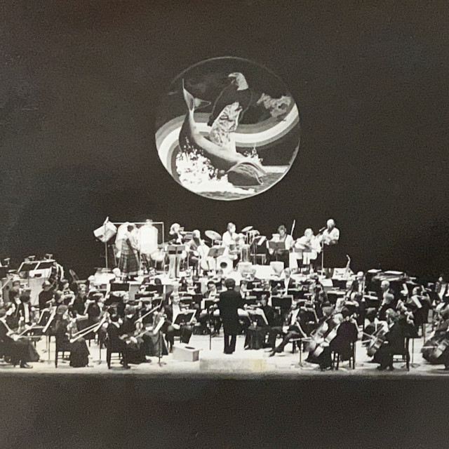 Queens College Choral Society: Winter Concert - Handel's Messiah